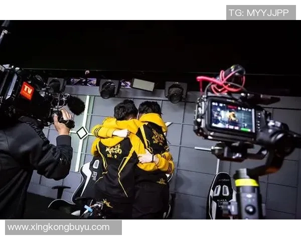 王娜专访揭秘和平精英成功背后的策略与创新之路